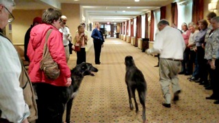 ACEF Hound Group Institute, Louisville KY March 2013