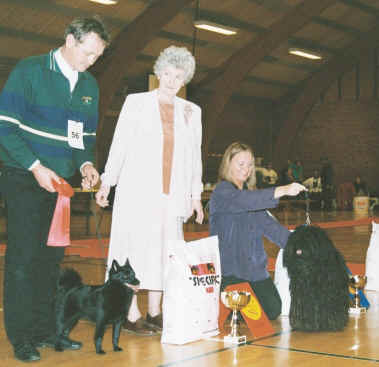 Mrs. Ann Arch - Best In Show Judge Crufts 2001