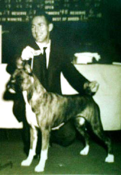 HANDLER JOE GREGORY AND BOXER, PAINTED LADY