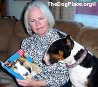 CAROLYN ALEXANDER AND BULL TERRIER