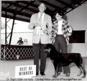 Ch. Srigo's Xclaim Von Kurts  - Best Of Winners From Puppy Class