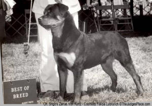 Ch. Srigo's Zarras Von Kurtz Best of Breed at 13 Months