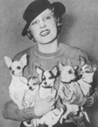 Chihuahuas, circa 1934, with Florence Clark